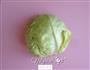 炝炒圆白菜的做法图解1