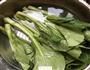 白灼广东菜心的做法图解1
