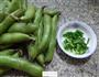 香葱蚕豆的做法图解1