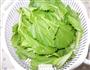 素炒芥菜的做法图解1