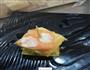 酥皮三文鱼色拉的做法图解6