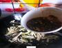 鱼香千叶豆腐丝的做法图解10
