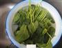 菠菜拌粉丝的做法图解1