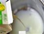 自制酸奶的做法图解3