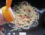 黑椒肉丝炒意面的做法图解5