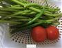 辣椒番茄炒空菜梗的做法图解1
