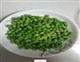 炒豌豆的做法图解4