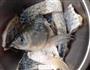 粉蒸草鱼的做法图解1