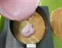 草莓芒果慕斯的做法图解9