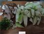 香菇丝瓜汤的做法图解1