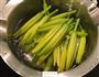 小炒金针花的做法图解3