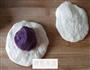 紫薯面包的做法图解7