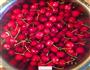 自制樱桃果酱的做法图解1