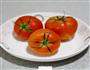 焗烤番茄蛋的做法图解1