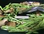 五花肉煸炒无筋豆的做法图解7