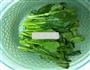 白灼菜心的做法图解1