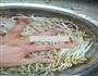 炝拌绿豆芽的做法图解3