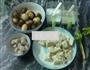 草菇丸子豆腐汤的做法图解1