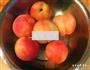 蜂蜜水蜜桃果酱的做法图解4