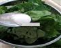 蒸地瓜叶的做法图解3