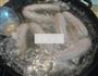 自制肉肠的做法图解11