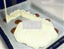 超萌奶牛卷的做法图解7