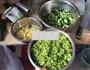 韭菜花研制的做法图解11