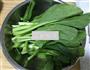 蒜香菜心的做法图解1