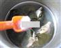 海带肉骨汤的做法图解9