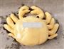 花样月饼的做法图解8