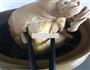 猪肚的做法图解5