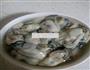 蛎蟥萝卜丝的做法图解1