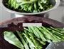 酱香扁豆丝的做法图解1