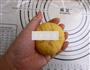 仿生南瓜面包的做法图解15