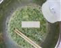 香菜鸡蛋薄饼的做法图解5