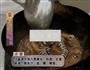 大鮳鳝鱼的做法图解7