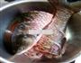 铁锅炖草鱼的做法图解1