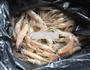 盐灼白虾的做法图解1