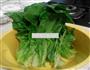 凉拌莴笋叶的做法图解5