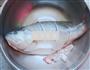 剁椒蒸鲈鱼的做法图解2