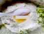 西葫芦鸡蛋饼的做法图解4