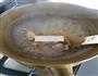 骨头药膳汤的做法图解3