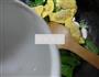 蘑菇油菜蕻煮蛋饺的做法图解5