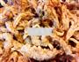 香酥孜然平菇的做法图解14