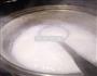 木瓜牛奶冻的做法图解3