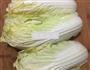 肉末白菜卷的做法图解3