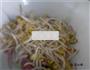 火腿炒豆芽的做法图解5