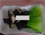浇汁香菇油菜的做法图解8
