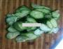 凉拌黄瓜的做法图解2