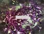 凉拌紫甘蓝的做法图解6